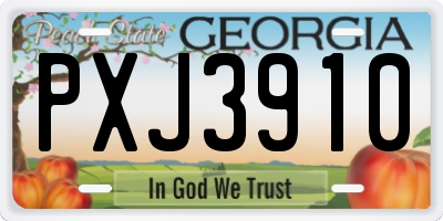 GA license plate PXJ3910