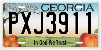 GA license plate PXJ3911