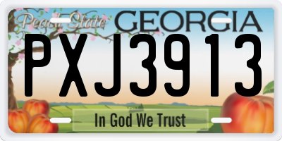 GA license plate PXJ3913