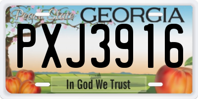 GA license plate PXJ3916