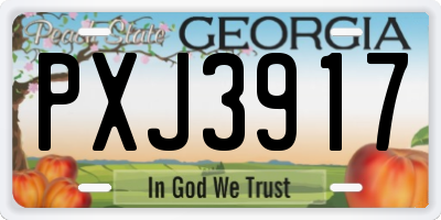 GA license plate PXJ3917