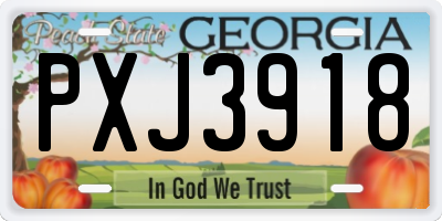 GA license plate PXJ3918