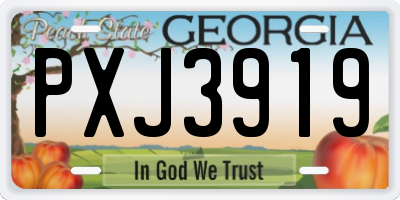 GA license plate PXJ3919