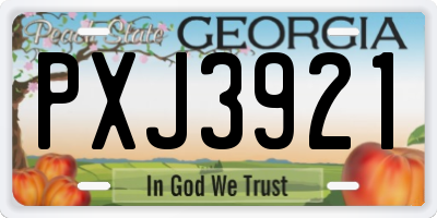 GA license plate PXJ3921