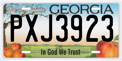GA license plate PXJ3923
