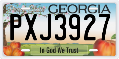 GA license plate PXJ3927