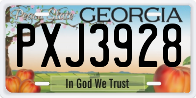 GA license plate PXJ3928