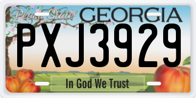 GA license plate PXJ3929