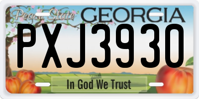 GA license plate PXJ3930