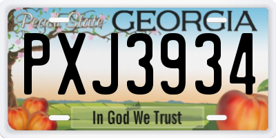 GA license plate PXJ3934