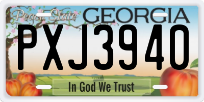 GA license plate PXJ3940