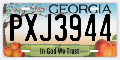 GA license plate PXJ3944