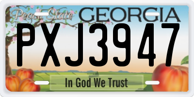 GA license plate PXJ3947