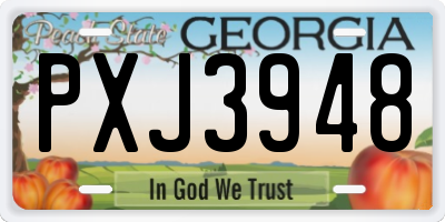 GA license plate PXJ3948