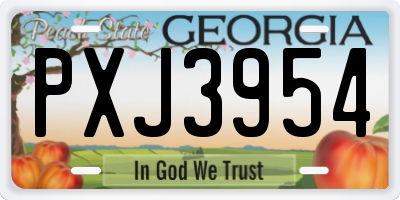 GA license plate PXJ3954