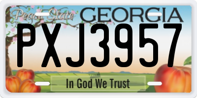 GA license plate PXJ3957