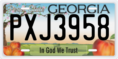 GA license plate PXJ3958