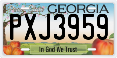 GA license plate PXJ3959