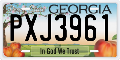 GA license plate PXJ3961