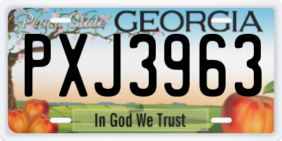 GA license plate PXJ3963