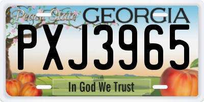 GA license plate PXJ3965