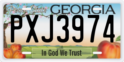 GA license plate PXJ3974
