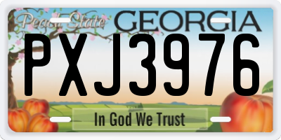 GA license plate PXJ3976