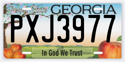 GA license plate PXJ3977