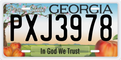 GA license plate PXJ3978