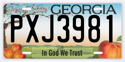 GA license plate PXJ3981