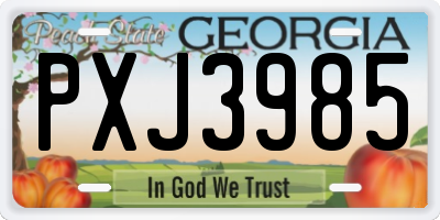 GA license plate PXJ3985