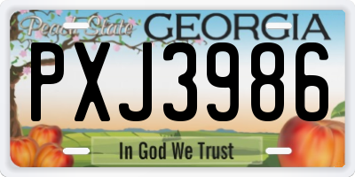 GA license plate PXJ3986