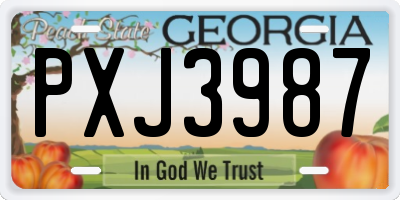 GA license plate PXJ3987