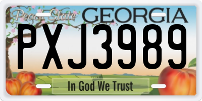 GA license plate PXJ3989