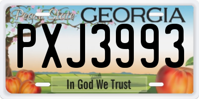 GA license plate PXJ3993