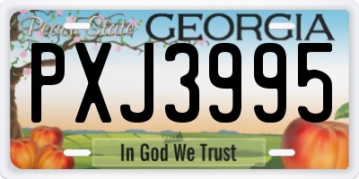 GA license plate PXJ3995