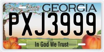 GA license plate PXJ3999