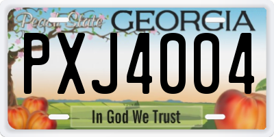 GA license plate PXJ4004