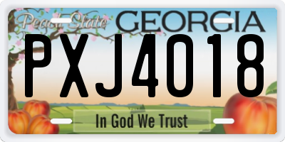 GA license plate PXJ4018