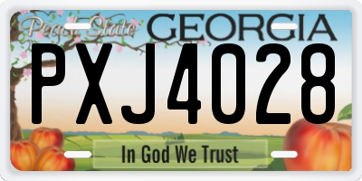GA license plate PXJ4028
