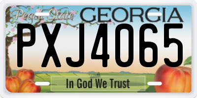 GA license plate PXJ4065