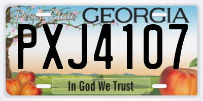 GA license plate PXJ4107
