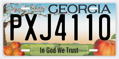 GA license plate PXJ4110