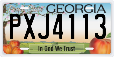 GA license plate PXJ4113