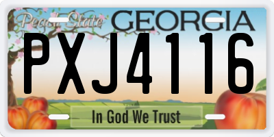 GA license plate PXJ4116