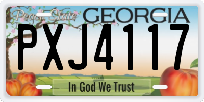 GA license plate PXJ4117