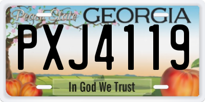 GA license plate PXJ4119