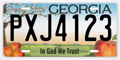 GA license plate PXJ4123