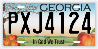 GA license plate PXJ4124