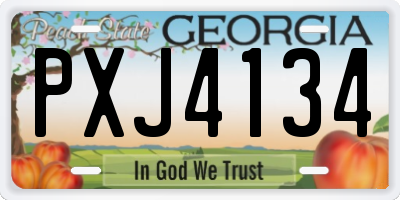 GA license plate PXJ4134